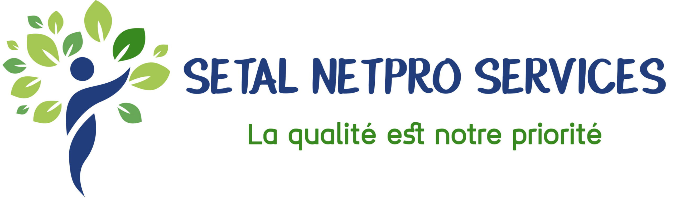NETPRO SERVICES